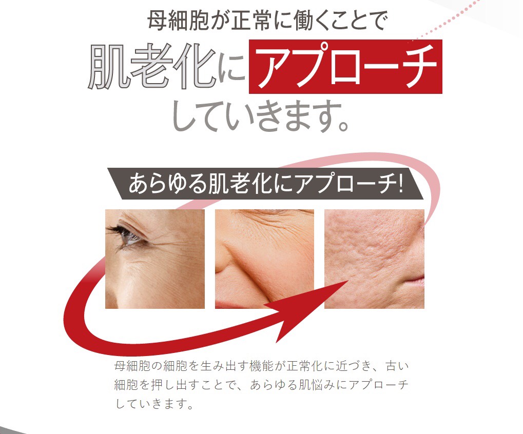 エニシーグローパック