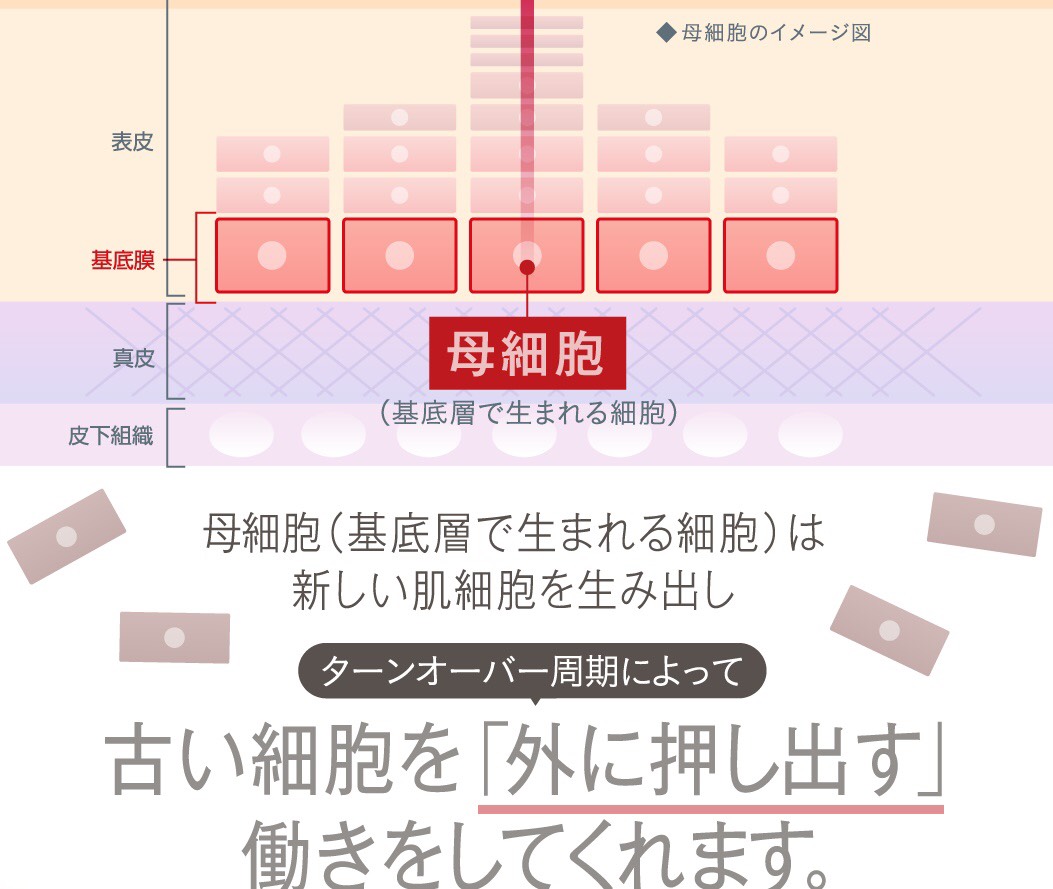 エニシーグローパック