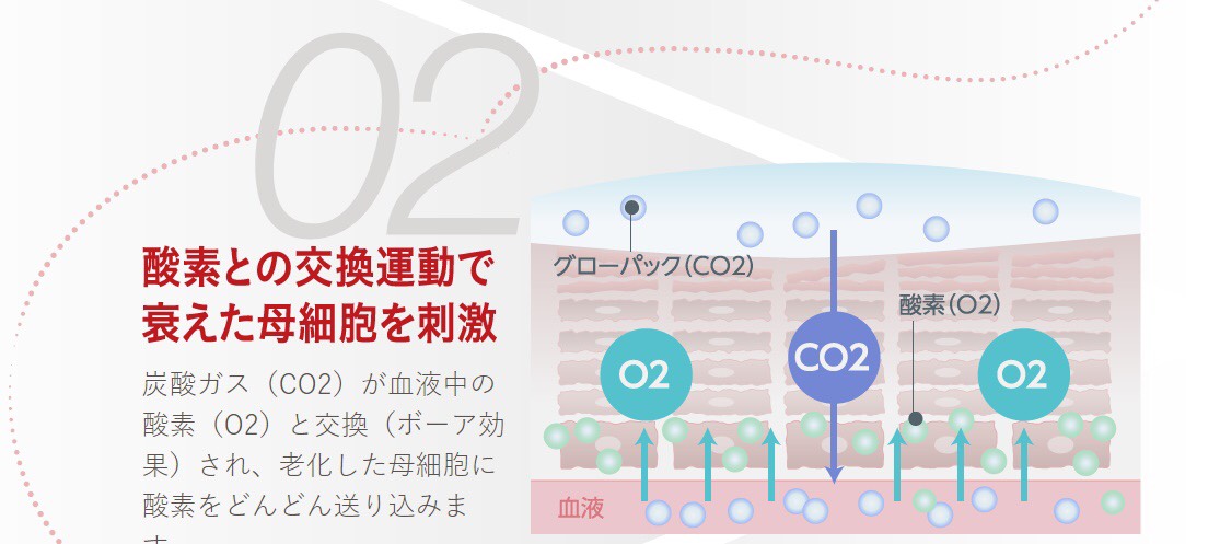 エニシーグローパック