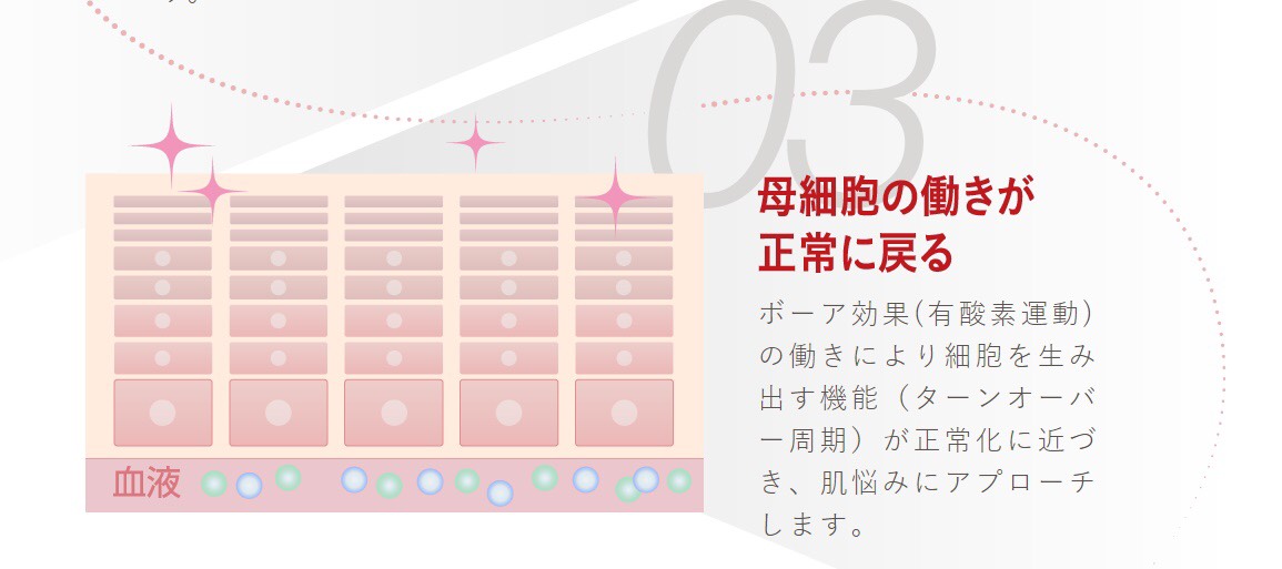 エニシーグローパック