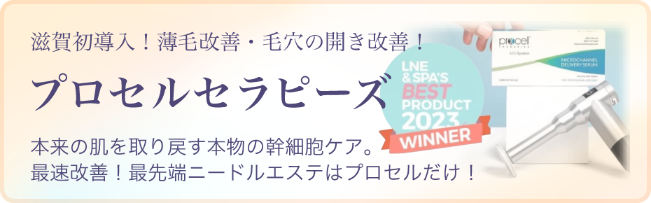 プロセルセラビーズ